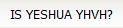 IS YESHUA YHVH?